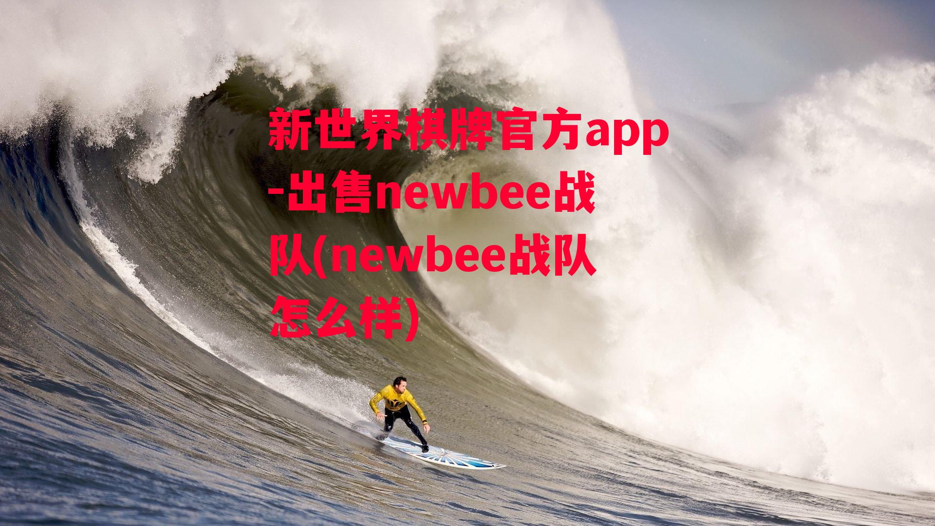 出售newbee战队(newbee战队怎么样)